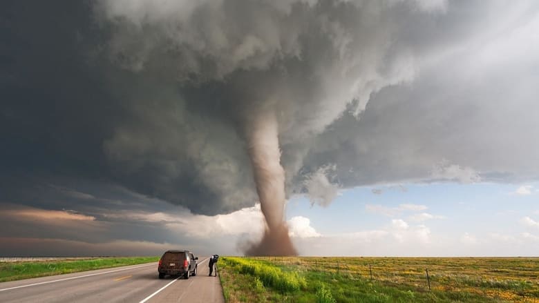 Weather Extreme: Tornado