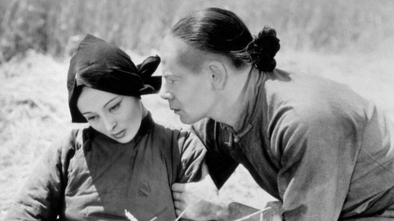 кадр из фильма Благословенная земля