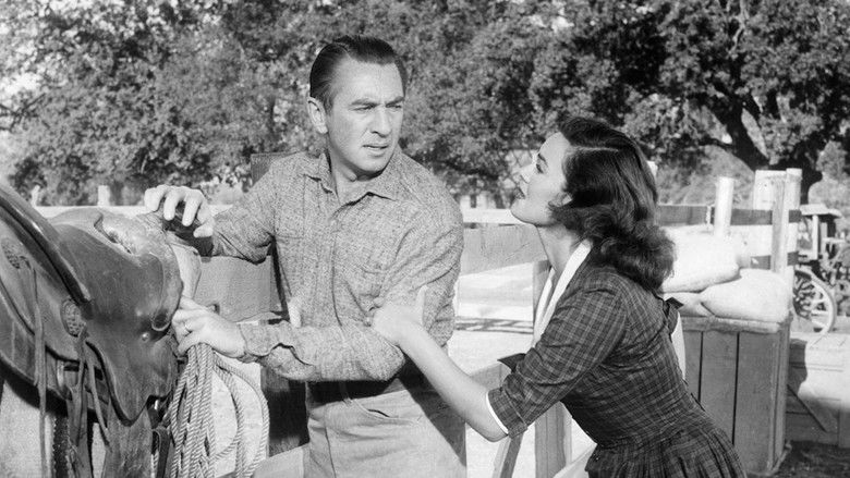 кадр из фильма Stranger at My Door