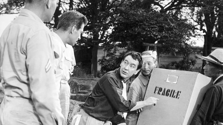 кадр из фильма Джо Батерфляй