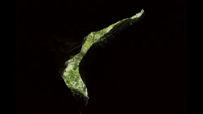 кадр из фильма Onírico