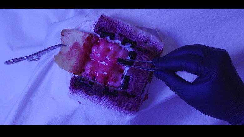 кадр из фильма Implant