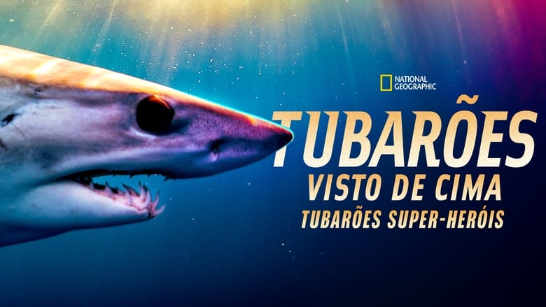кадр из фильма Суперспособности акул
