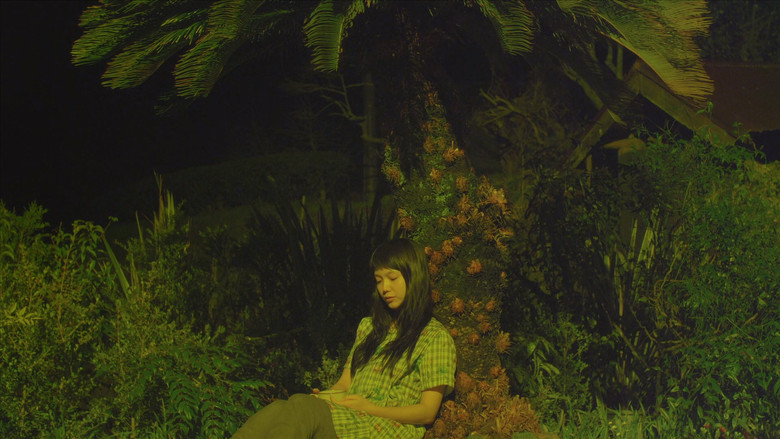 кадр из фильма きいろいゾウ