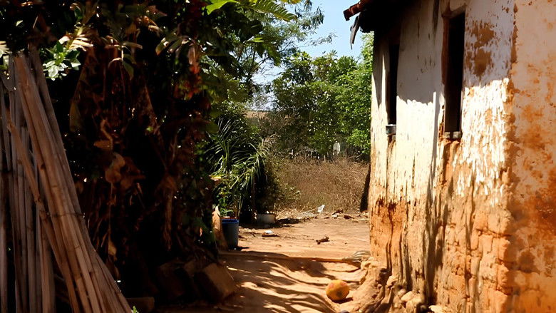кадр из фильма (re)buscando o cinema em Santa Rosa dos Dourados