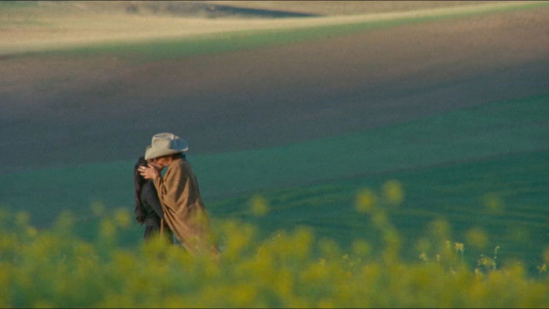 кадр из фильма The Last Movie