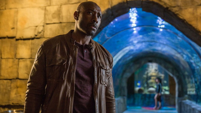 кадр из фильма Всё тайное становится явным