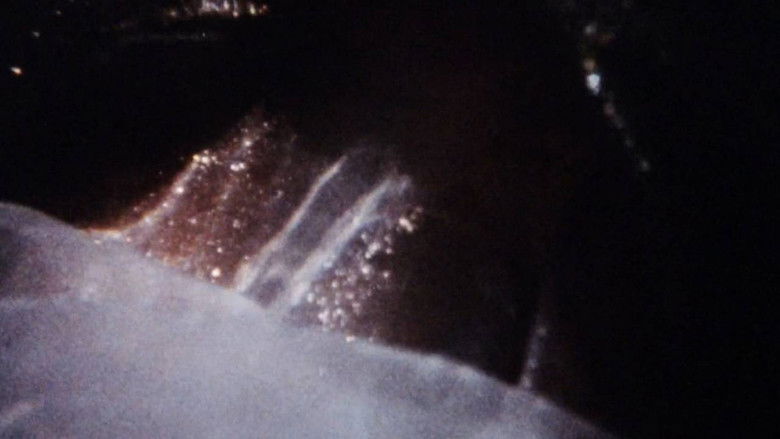 кадр из фильма Maternal Filigree