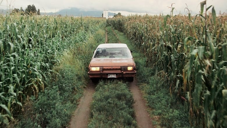 кадр из фильма Mia