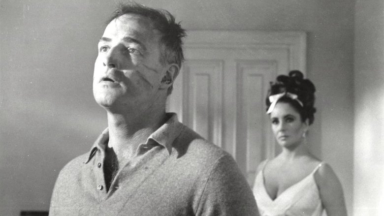 кадр из фильма Блики в золотом глазу