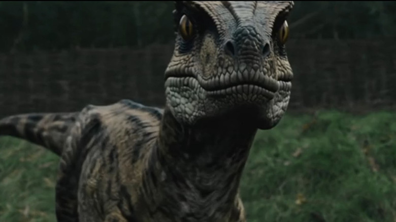 кадр из фильма Raptor Attack