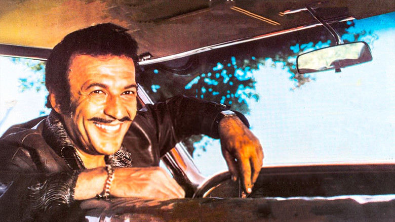 кадр из фильма Dikiz Aynası