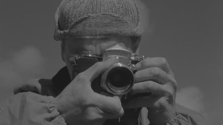 кадр из фильма Niewyraźny klekot ptaków