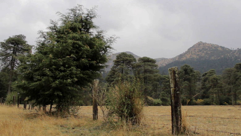 кадр из фильма Pradera