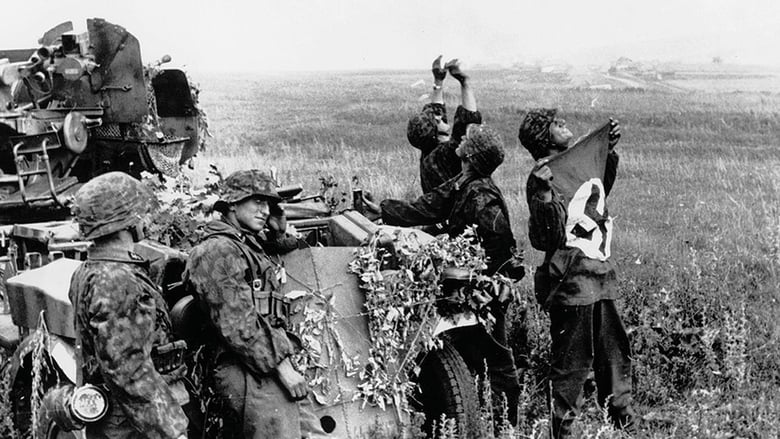 Das Reich, une division SS en France (6 juin 1944-8 mai 1945)