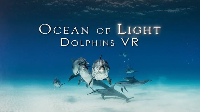 кадр из фильма Ocean of Light - Dolphins VR