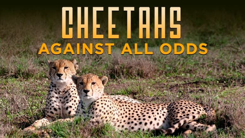 кадр из фильма Cheetahs Against All Odds