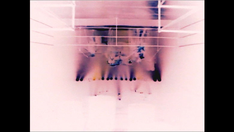 кадр из фильма an untitled self portrait archive film