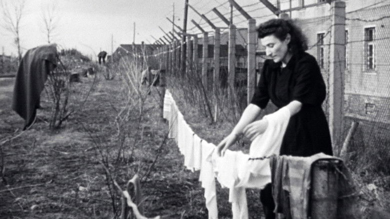 кадр из фильма Les survivants, l'impossible départ après la Shoah