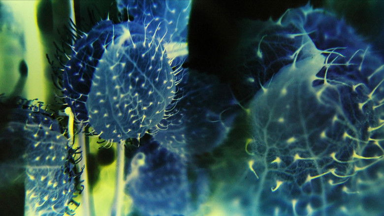 кадр из фильма The Tears of a Mudlark