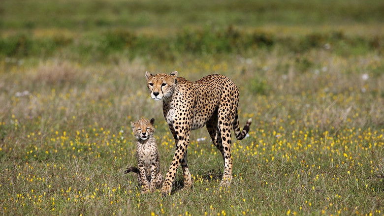 кадр из фильма Regime of the Queen