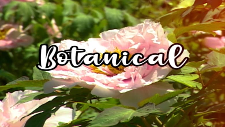 кадр из фильма Bloom Skateboards Presents Botanical