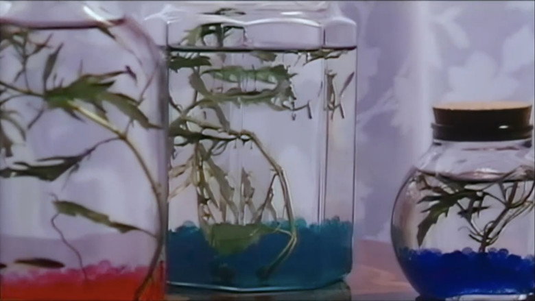 кадр из фильма 拷問水責め