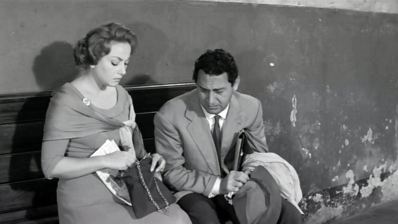 кадр из фильма Врач и знахарь