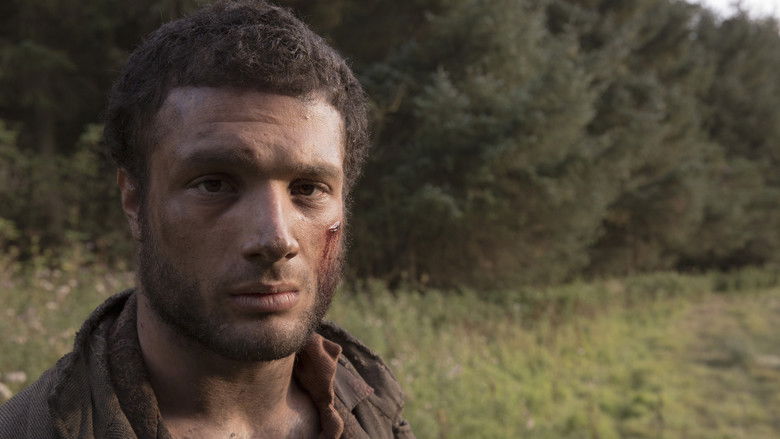 кадр из фильма Леди Макбет