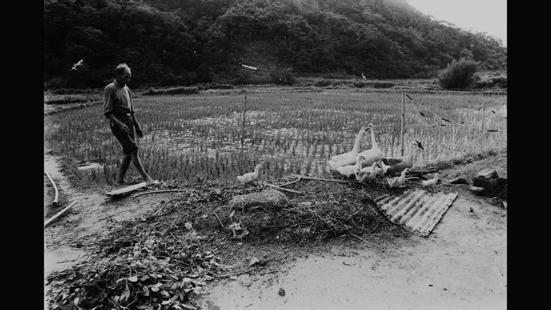 кадр из фильма 綠色牢籠