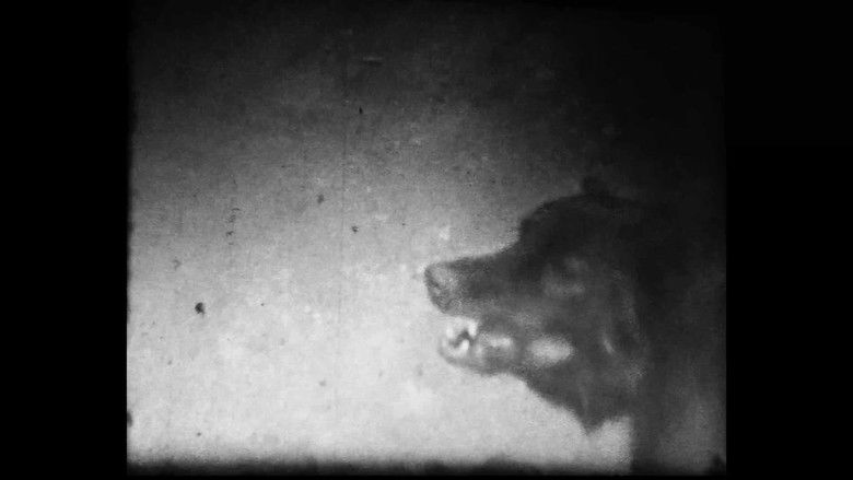 кадр из фильма Зимы не будет