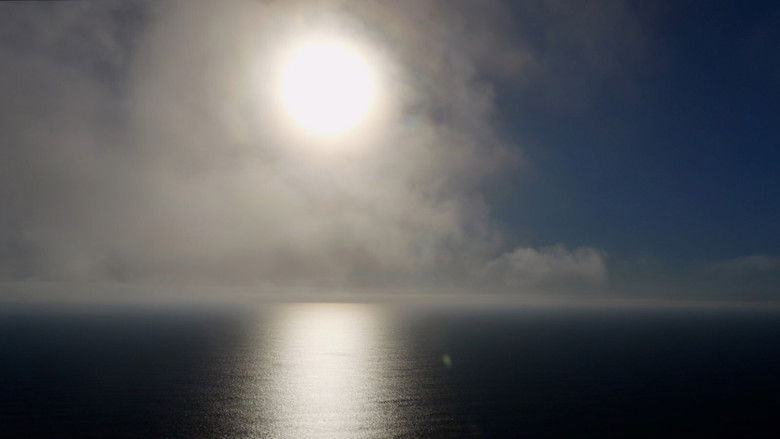 кадр из фильма Aware – Reise in das Bewusstsein