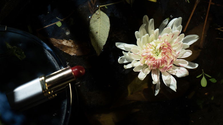 кадр из фильма Pétalos de leche