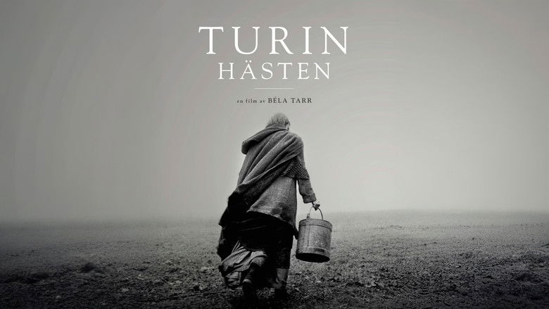 кадр из фильма Туринская лошадь