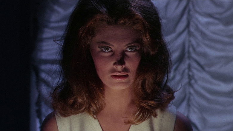 кадр из фильма Eye of the Cat