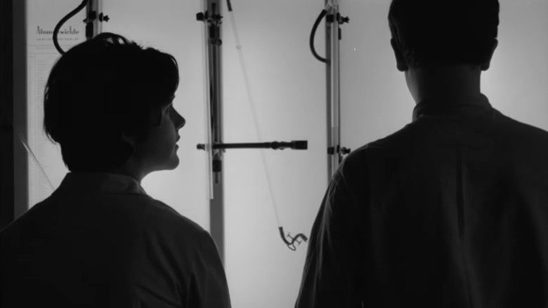 кадр из фильма Alerta!