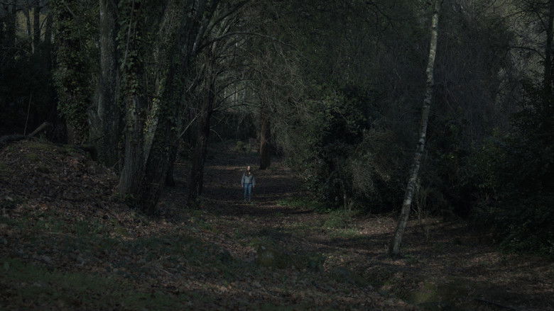 кадр из фильма A Floresta