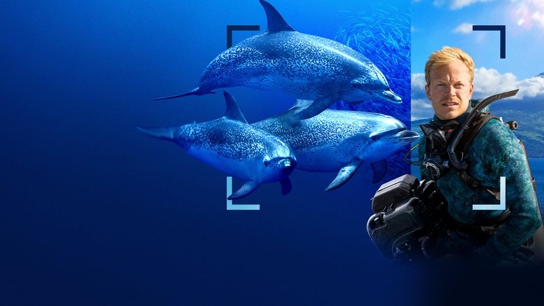 кадр из фильма В мире дельфинов с Берти Грегори