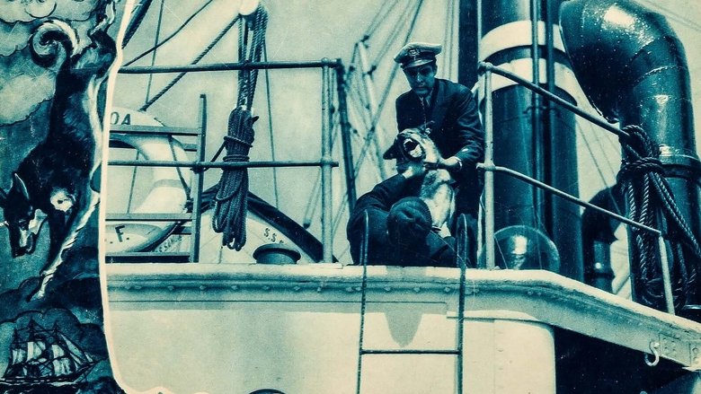 кадр из фильма The Wolf Dog