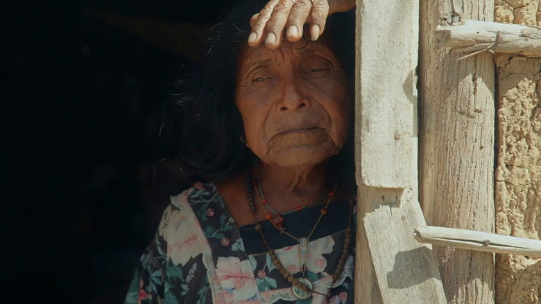 кадр из фильма Two-Spirit