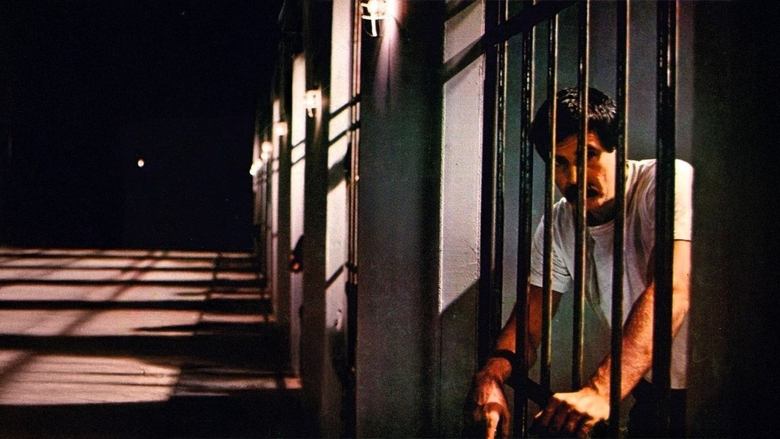 кадр из фильма Yağmur Kaçakları