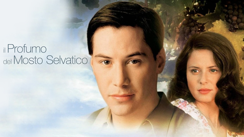 кадр из фильма Прогулка в облаках