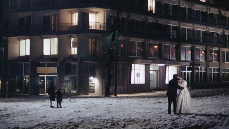 кадр из фильма Пейзаж в тумане