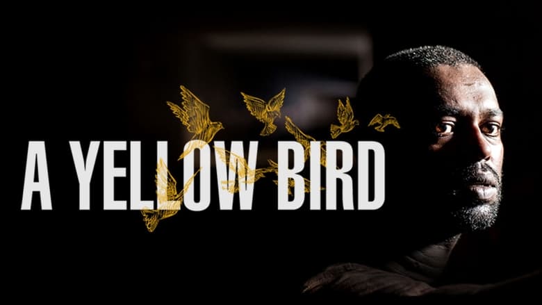 кадр из фильма A Yellow Bird