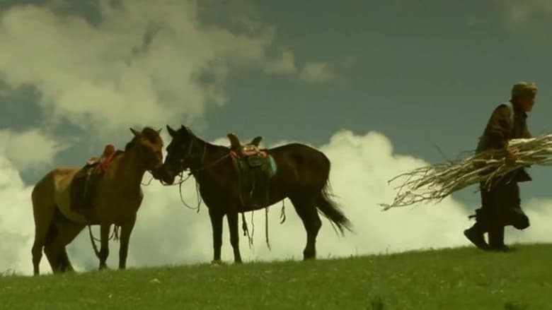 кадр из фильма The Horse Trainer