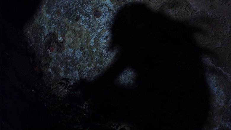 кадр из фильма A Dark Path