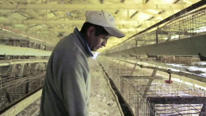 кадр из фильма La cáscara rota