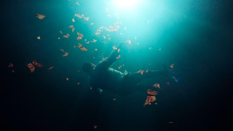 кадр из фильма El Guardián de las Monarcas