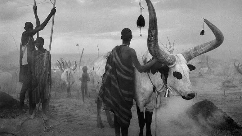 кадр из фильма Соль земли