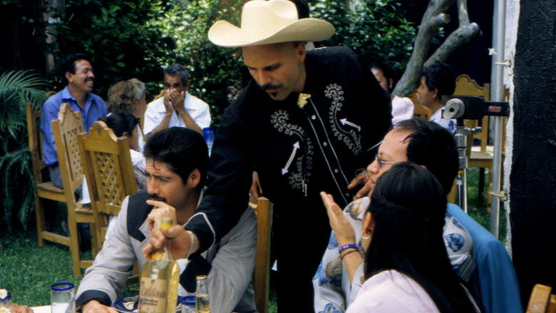 кадр из фильма Huapango